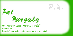 pal murguly business card